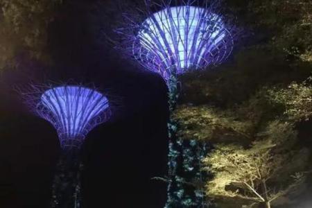 穆斯林节日哈芝之旅与心灵净化