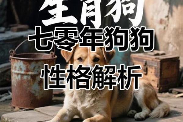 五行格局揭秘：狗年运势如何，性格解析告诉你关键