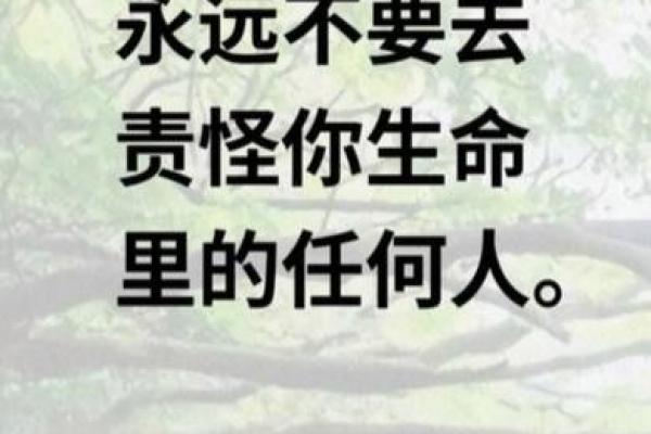 世界人道日：关爱他人，倡导人道精神