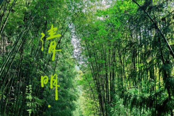 清明节:踏青养生,感受大自然魅力 清明节:踏青养生,感受大自然魅力