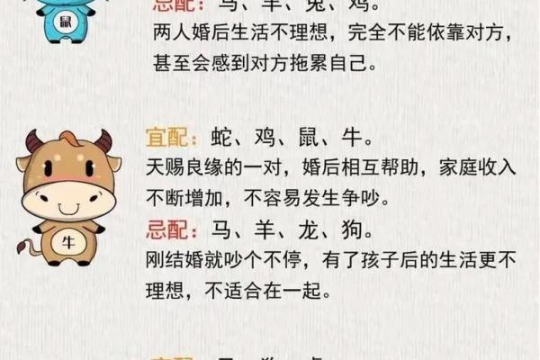 理考试解析:如何通过八字改运?合婚应该关注哪些关键点? 理考试解析:如何通过八字改运?合婚应该关注哪些关键点?