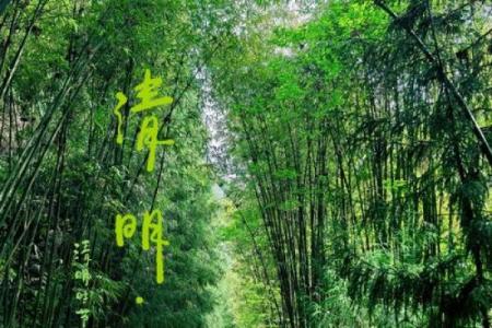 清明节：踏青养生，感受大自然魅力