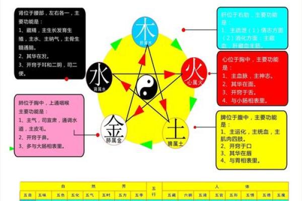 性格解析新视角:五行如何揭示你的内在潜能? 性格解析新视角:五行如何揭示你的内在潜能?