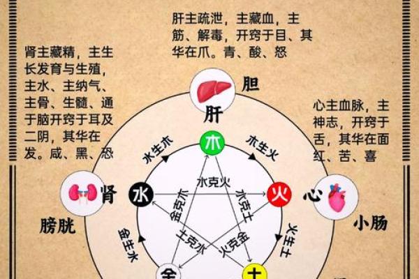 五行格局揭秘:黄属五行,揭秘你的性格潜能 五行格局揭秘:黄属五行,揭秘你的性格潜能