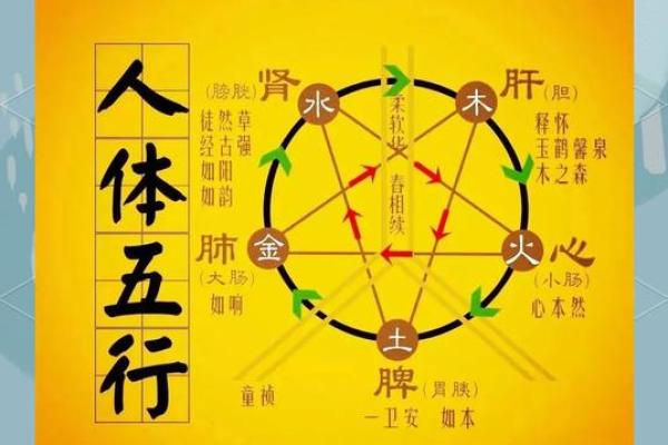 如何改变命运?从了解心在五行中的位置开始 如何改变命运?从了解心在五行中的位置开始
