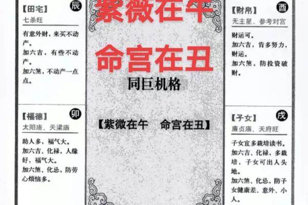 紫薇命理深度解析:命运不同,合婚需要注意哪些关键点? 紫薇命理深度解析:命运不同,合婚需要注意哪些关键点?