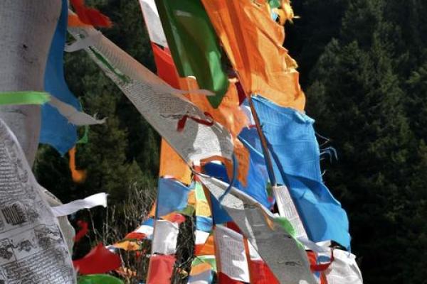 藏族转经节:心灵净化,感受藏族宗教文化 藏族转经节:心灵净化,感受藏族宗教文化