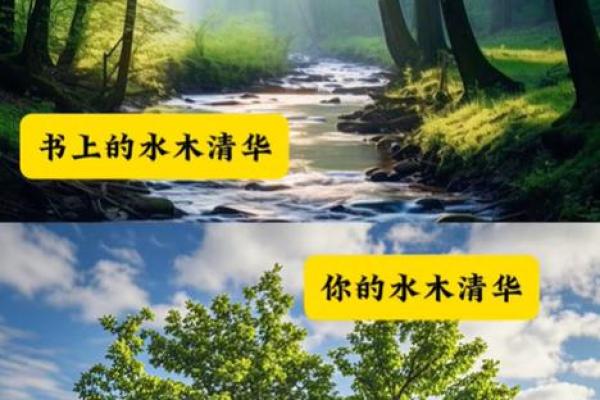 曦性格解析反常识指南:如何利用五行格局,反而获得成功? 曦性格解析反常识指南:如何利用五行格局,反而获得成功?