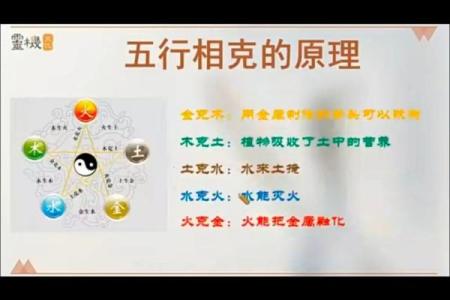 五行格局揭秘：性格解析中的相生相克，如何找到你的最佳互补？