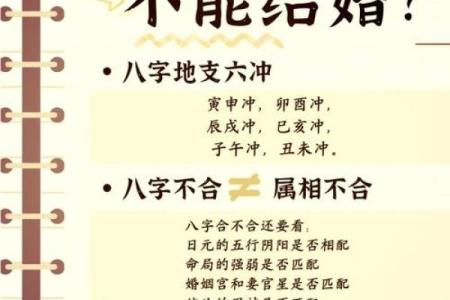 江苏命理培训揭秘：合婚八字怎么看？如何影响婚姻命运？