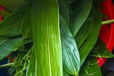 端午：粽叶飘香，传承千年文化