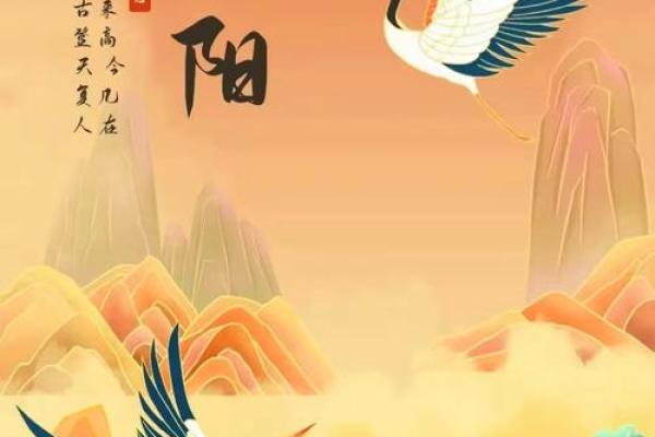 重阳:登高赏菊,弘扬敬老文化与养生之道 重阳:登高赏菊,弘扬敬老文化与养生之道