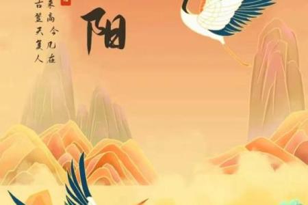 重阳：登高赏菊，弘扬敬老文化与养生之道