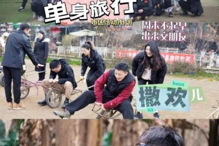 光棍节，独自自由，探索单身生活习俗