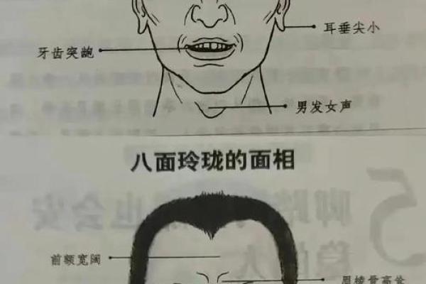 五行格局颠覆性解读：揭秘面部特征背后的性格秘密