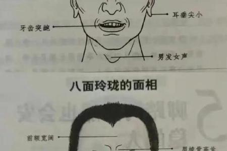 五行格局颠覆性解读：揭秘面部特征背后的性格秘密