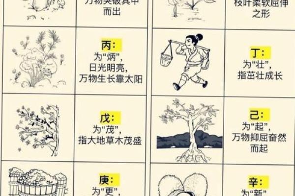 性格解析:五行与你的命运格局,你了解多少? 性格解析:五行与你的命运格局,你了解多少?