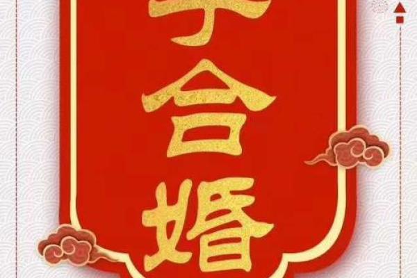 上海命理老师解析八字命运:合婚看什么?命运能否逆转? 上海命理老师解析八字命运:合婚看什么?命运能否逆转?