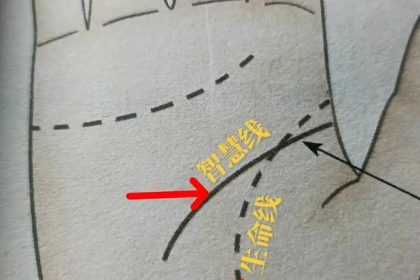 揭秘左手红点:命理师解答如何看手相影响你的命运 揭秘左手红点:命理师解答如何看手相影响你的命运
