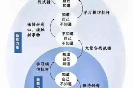 解锁大字五行格局：性格解析新视角，如何改变命运？