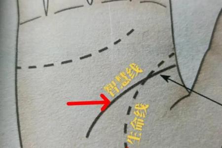 揭秘左手红点：命理师解答如何看手相影响你的命运