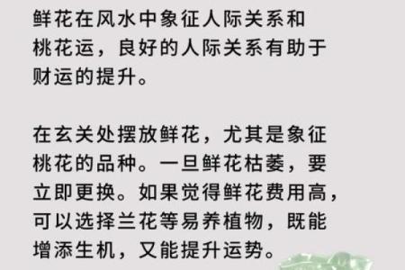 桃花无根命理揭秘：能否扭转运势？合婚时的关键因素