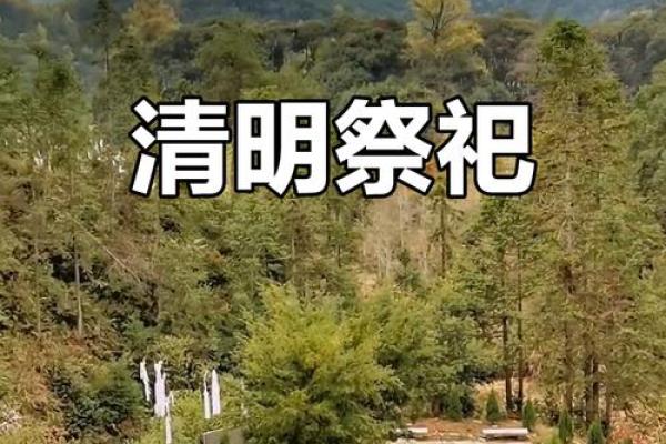 清明:祭祖扫墓,传承祖先的崇敬习俗 清明:祭祖扫墓,传承祖先的崇敬习俗