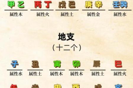 五行性格解析误区大揭秘：颠覆传统认知，你真的了解自己吗？