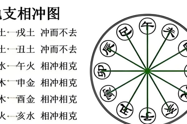 信宜命理馆揭秘：能改运吗？八字中的命运差异如何调整？