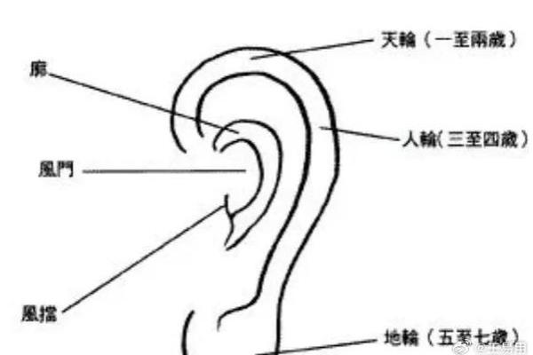 左耳畸形与命运的深度解析：能改运吗？