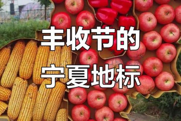 怒族丰收节：庆祝丰收，感悟自然与习俗