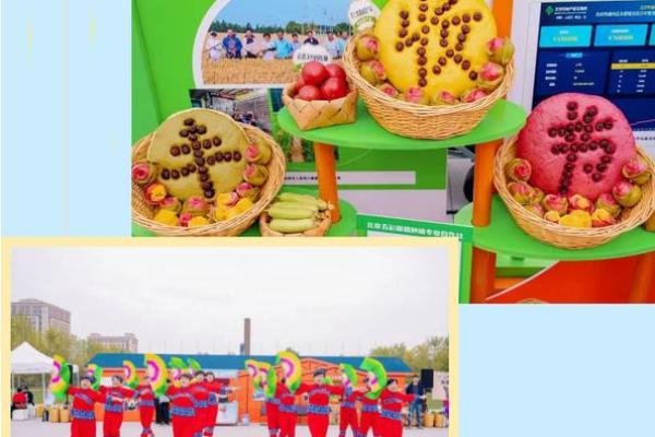 哈尼族丰收节：庆祝丰收，品味自然与养生智慧