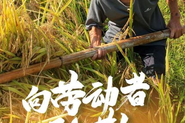 劳动节：庆祝劳动者的辛勤，传递社会正能量