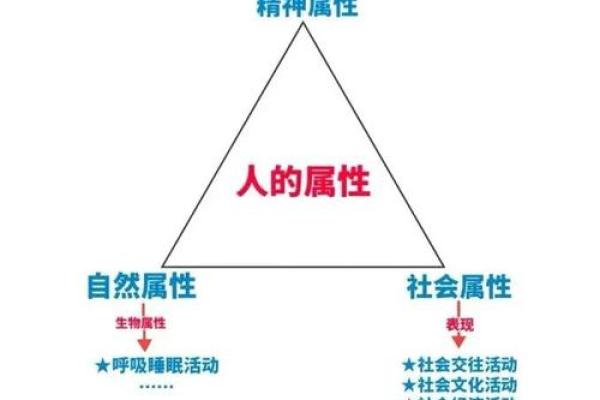 五行格局颠覆性解读：性格塑造的全新路径