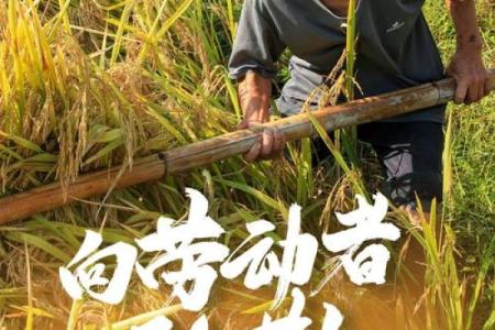 劳动节：庆祝劳动者的辛勤，传递社会正能量