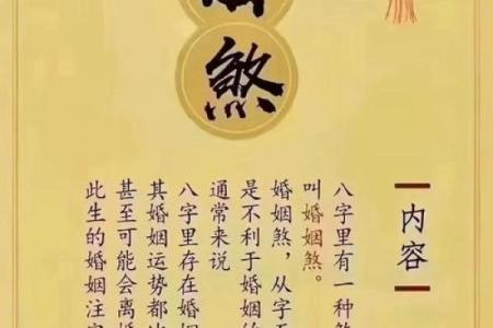 八字合婚能改运吗？揭秘命运不同的关键因素