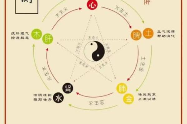 木旺命理解析:八字命运不同,能改运吗? 木旺命理解析:八字命运不同,能改运吗?