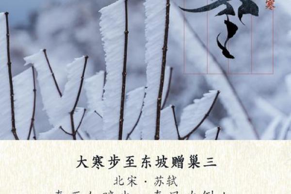 大寒：养生文化，抵御严冬寒气