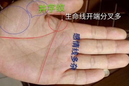 门牙乱影响合婚吗？命理深度解析改变命运的可能性