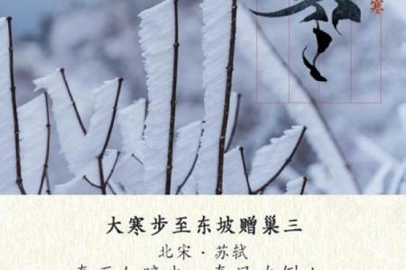 大寒：养生文化，抵御严冬寒气