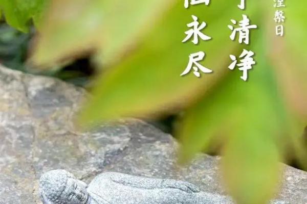 教节日：涅槃节，追思佛陀，悟道生死轮回
