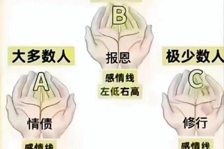 左手红点合婚看什么？命理解析左右手纹与婚姻的关系