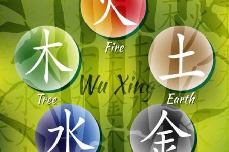 琳五行性格解析：误区破解，如何逆势而上？