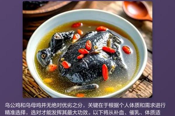 五行误区大揭秘：鸡的真实性格，你了解多少？