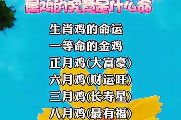 五行误区大揭秘：鸡的真实性格，你了解多少？