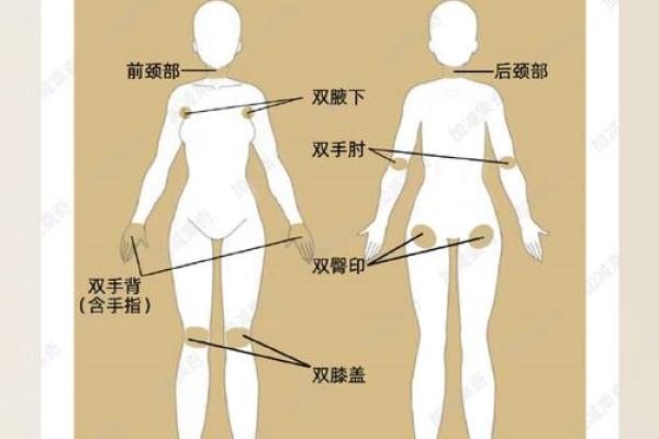 反转五行格局:从身体部位入手,重塑你的性格特质 反转五行格局:从身体部位入手,重塑你的性格特质