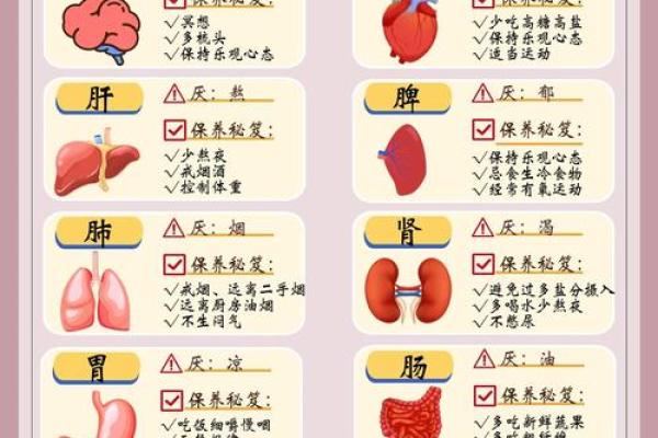 反转五行格局:从身体部位入手,重塑你的性格特质 反转五行格局:从身体部位入手,重塑你的性格特质