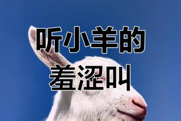 揭秘声音沙哑与命运的关系:能改运吗? 揭秘声音沙哑与命运的关系:能改运吗?