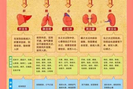 从五行格局看性格，揭秘你的天赋与局限