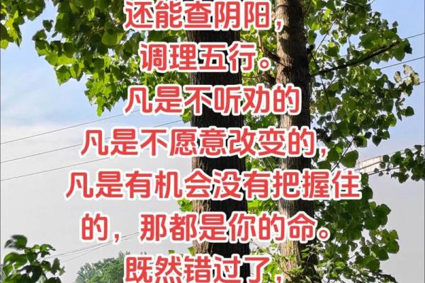 颠覆传统刘的五行性格，反而成就非凡人生